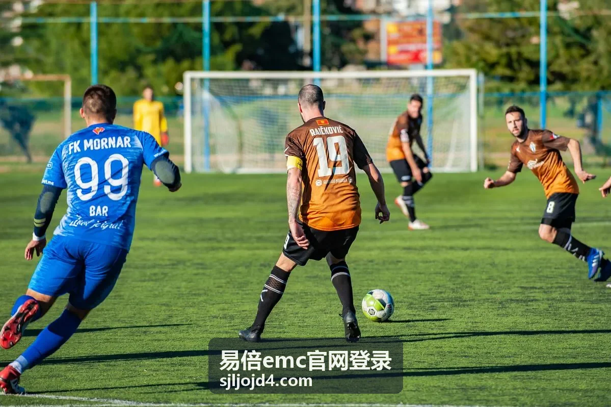 易倍emc官网登录统一权限管理后台示意图